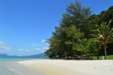 The beautiful nature and landscapes of the Khao Sok National Park in Thailand