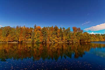 Goldener Herbst Pfaffensee / Bärensee Stuttgart. Sonniger Herbst Schöne Natur  