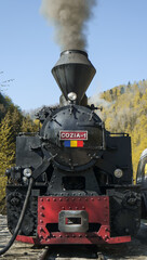 Fototapeta na wymiar Coal powered train in Maramures Romania. Mocanita on Viseu Valley,
