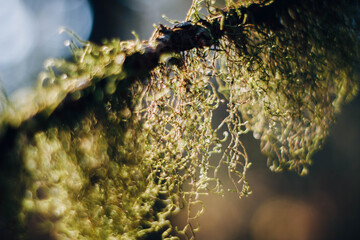 water drops on the rocks