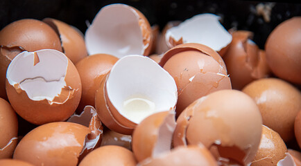 Eggs Shell background - Shell of an Eggs