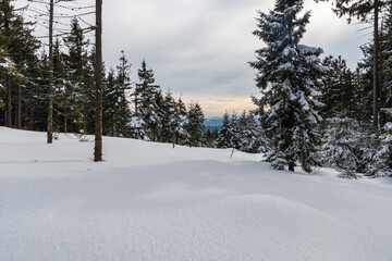 Winter scenery with snow, trees, hills on the background and cloudy sky on Zimny hill in Moravskoslezske Beskydy mountains in Czech republic