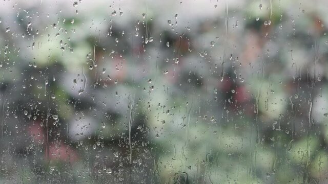 Rain on the window - a cold rainy and windy day.