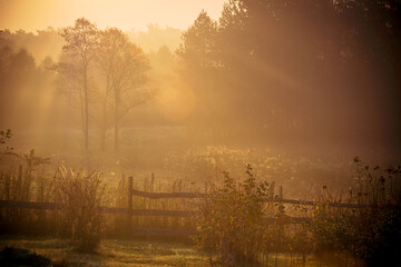 Naklejka premium misty morning sunrise over the meadow