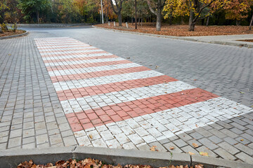 Pedestrian crossing in the city park. Close-up, selective focus