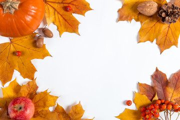 Orange pumpkins, fallen leaves, apples and berries on a white background. The concept of autumn template, Thanksgiving day. Copy space.