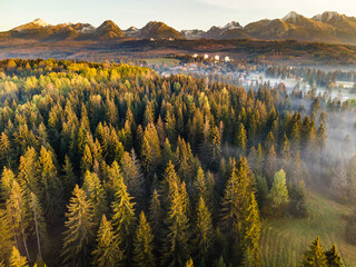 Fototapety  Beautiful Morning in High Tatras Mountains. Mist Over Fall Foliage. Aerial Drone View