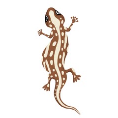 Lizard on an isolated white background. Lizard in a cartoon style. Children's digital illustration. Tropical animal, stock illustration.