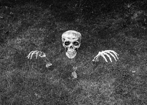 Black and white skeleton skull and hands