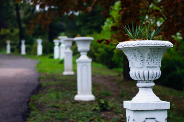 plaster pots with flowers in an autumn park