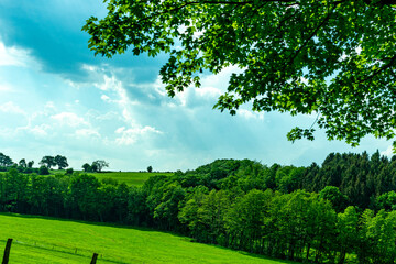 Germany, Countryside outskirts, a large green field with trees in the background