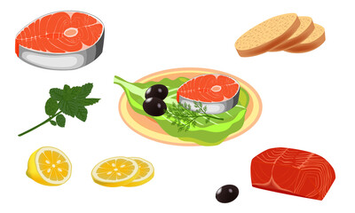Vector illustration Steak of fish. Cut salmon slice. Steak salmon isolated 