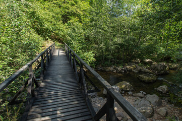 Obraz premium Beautiful views from a walk in the Bulgarian forests