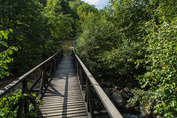 Fototapeta na wymiar Beautiful views from a walk in the Bulgarian forests