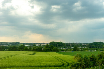 Germany, Countryside outskirts, a large green field with trees in the background
