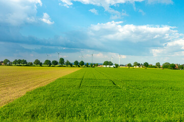 Germany, Countryside outskirts, a large green field