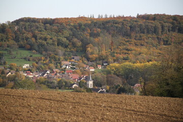 Forêt automnale champs de maïs et village alsacien