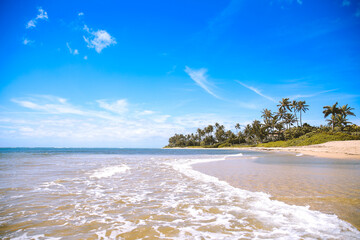 Plam trees at Waialae Beach Park, Kahala, Oahu, Hawaii. Located next to the Kahala Hotel & Resort on Oahu's south shore. Wai'alae Stream