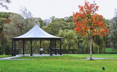 gazebo in the park