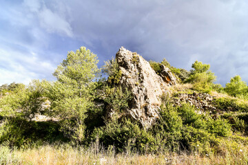 tree in mountains, photo as a background , in janovas fiscal sobrarbe , huesca aragon province