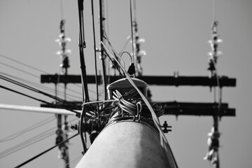 pole force

