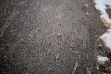Dirty tracks of snow on asphalt, the first snow, city. Bad ecology, dirty snow. Footprint of shoes on concrete tiles city of November. There are many footprints on road.