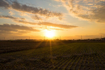 wide evening sky over the field of the village © Makoto Itali