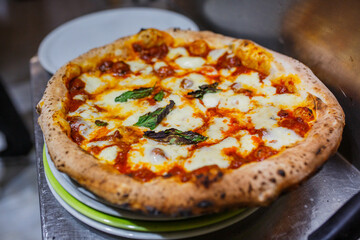 Pizza napoletana con sugo di pomodoro, mozzarella di bufala, basilico fresco e polpettone di carne