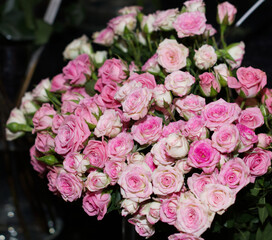 pink roses on the counter of the store. Flower trade, private business, losses, loss of customers, switching to contactless delivery. The rise in price of flowers, an armful of roses