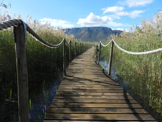 Boardwalk, Ghost Mountain, Mkuze, KwaZulu Natal, South Africa.