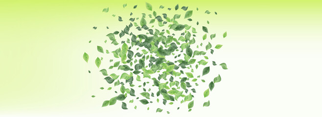 Lime Leaves Blur Panoramic Green Background 