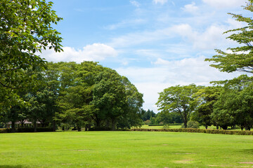 公園