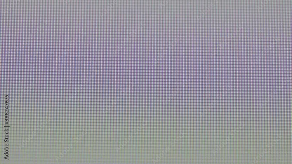 Fototapete close up of a computer monitor while searching the web for debate 2020