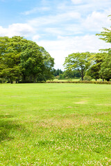 Naklejka premium 公園