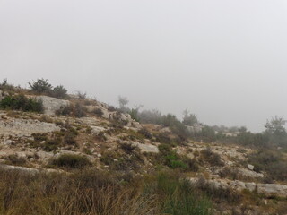 Hiking in the Bsharri (Bcharre) mountains of Lebanon among the Cedars of God trees