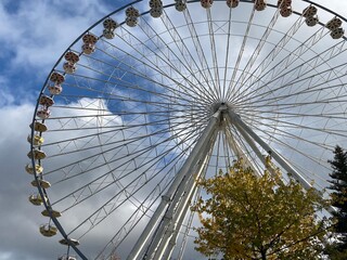 ferris wheel in the park