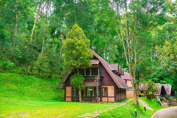 the road at Doi Ang Khang, The road that leads to the beautiful forest.