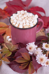 Hot cocoa or hot chocolate with marshmallows in a pink cup against a background of autumn leaves. Composition with a cup, leaves and a bouquet of small chrysanthemums. Autumn concept.