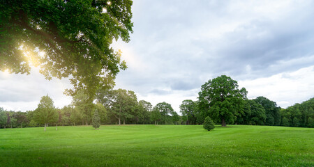 Fresh air and beautiful natural landscape of meadow with green tree  in the sunny day for summer background, Beautiful lanscape of grass field with forest trees and enviroment public park with sun ray