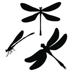 Hand drawn black vector silhouette set of dragonflies isolated on white background. Stock illustration of insects.