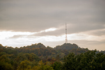 view of the forest and TV tower