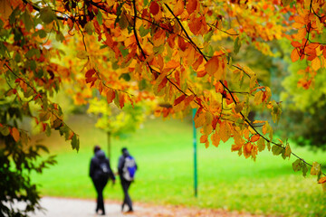 Park im Herbst , einen Spaziergang im Park machen und mit Freund im Gespräch reden