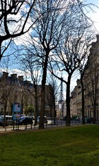 Naklejka premium Paris street views during autumn. Eiffel tower seems away from the Paris street during sunny day