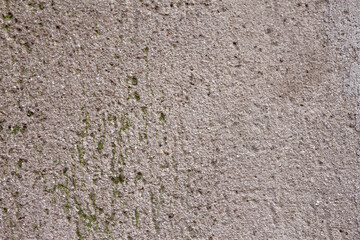 Texture of plaster close up