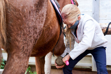 Child grooming horse with brush, Girl cleaning and taking care of horse. Cleaning horse hooves
