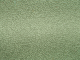Genuine leather texture natural pattern. Olive color