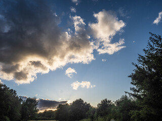 SKIES IN THE PARK