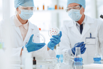 close up. microbiologists study bacteria in a Petri dish.