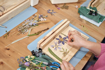 A woman lays out a composition. Master class on creating frame with Herbarium in tiffany technique...