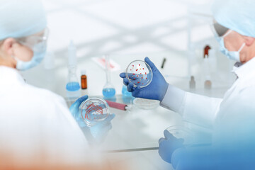 laboratory staff discussing the development of bacteria in a Petri dish .